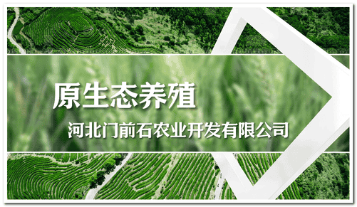 1766887351752740.png 12月28日(12).png